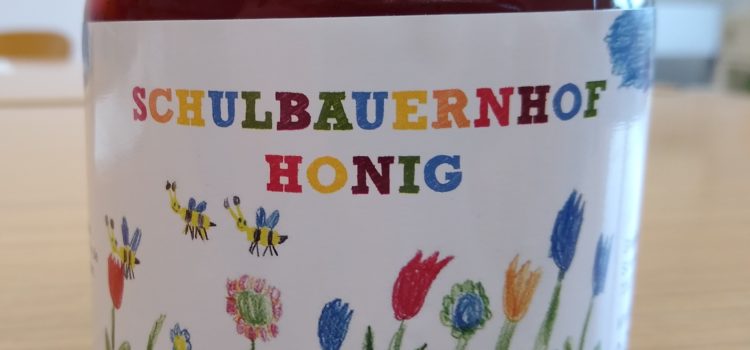 BIENEN-AG – Kleine Honigschulung